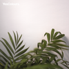 YesColours